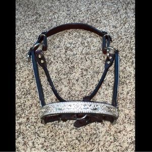 Kathy’s Show Equipment: Sterling-Overlay Show Halter